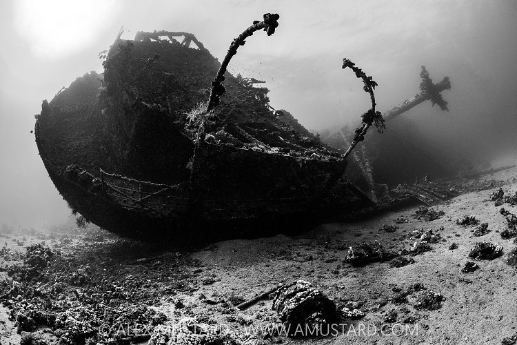 Chrisoula K Stern, Egypt