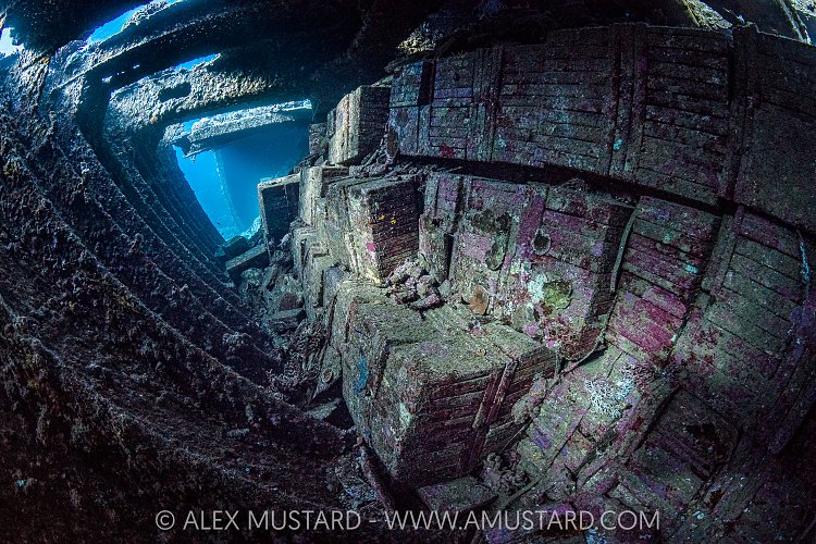 Tile Wreck, Egypt