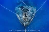 Bow Of The Thistlegorm, Egypt.