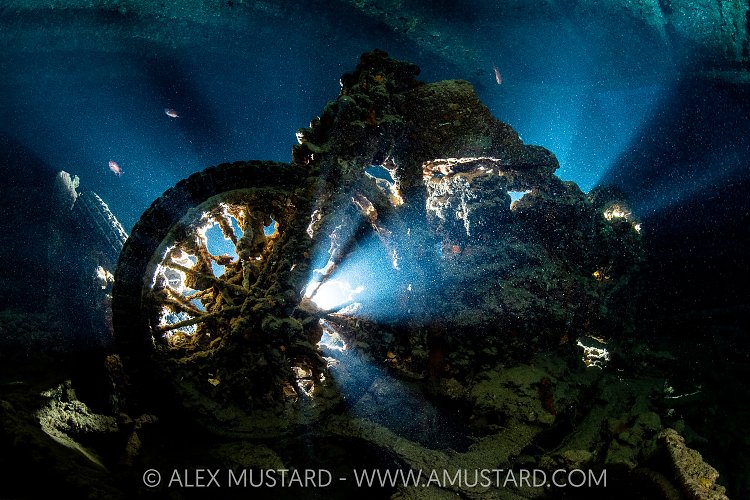 Backlit Motorbike, Egypt
