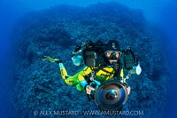 Valerie Reid Portrait, Egypt