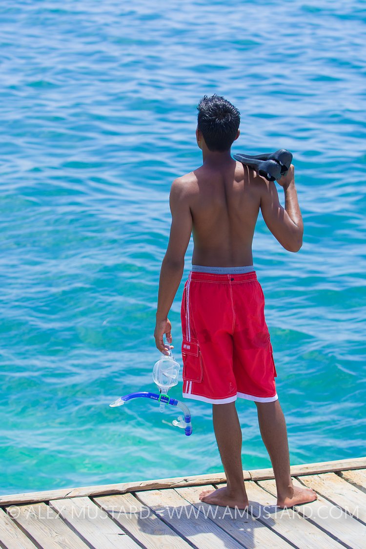 Snorkeller Prepares. Cayman Islands