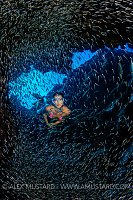 Snorkeller In Silver Rain. Cayman Islands.