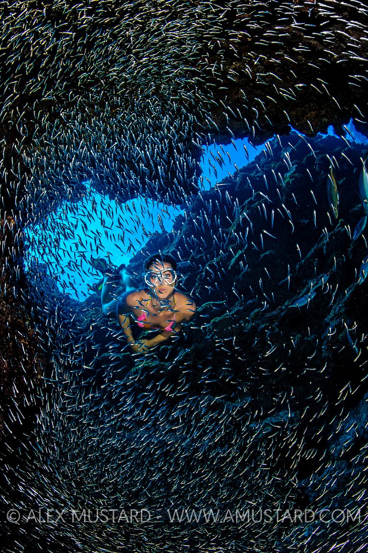 Snorkeller In Silver Rain. Cayman Islands.