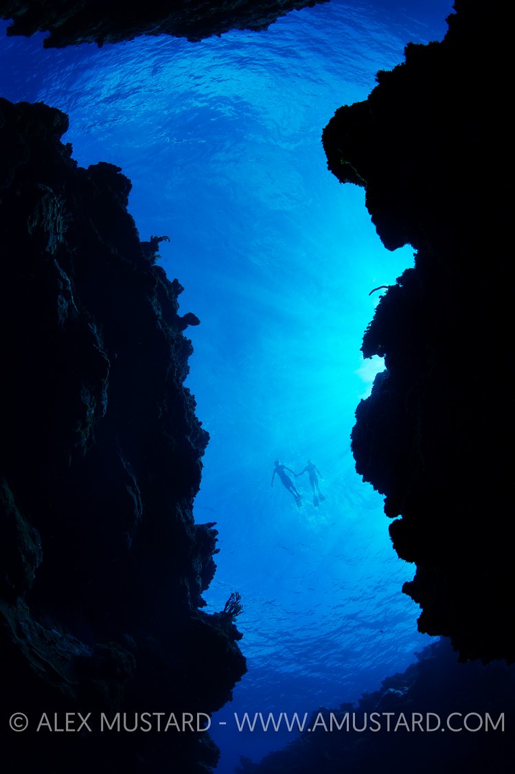 Snorkellers Above Cayman Islands