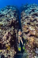 Snorkeling The Reef. Cayman Islands