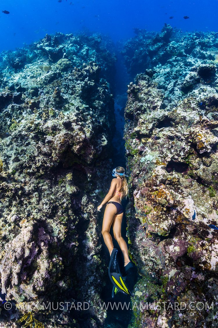 Snorkeling The Reef. Cayman Islands