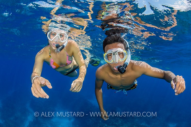 Snokeling. Cayman Islands