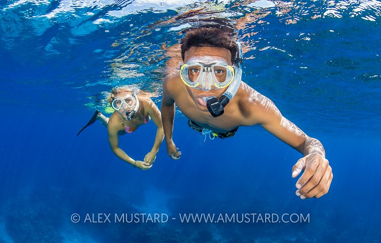 Snorkellers At The Surface. Cayman Islands