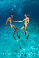 Snorkellers Rising. Cayman Islands