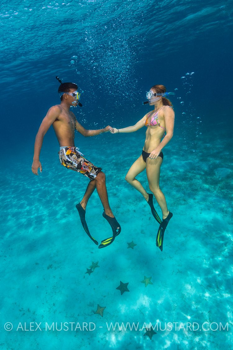 Snorkellers Rising. Cayman Islands