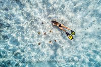Snorkelling With Starfish. Cayman Islands.