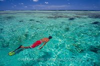 Snorkeling Over The Reef.  Cayman Islands