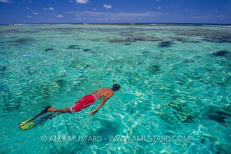 Snorkeling Over The Reef.  Cayman Islands