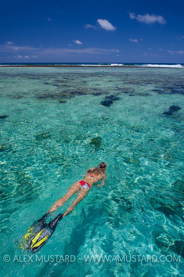 Snorkeller. Cayman Islands