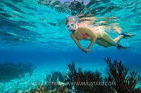 Snorkeling Over The Reef.  Cayman Islands
