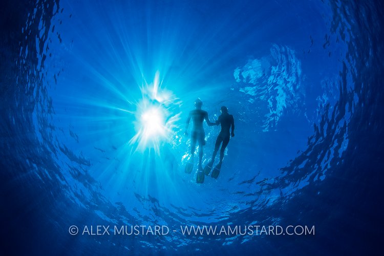 Snorkelling in The Sun.  Cayman Islands