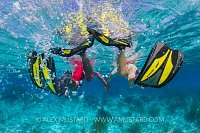 Speedy Snorkellers. Cayman Islands
