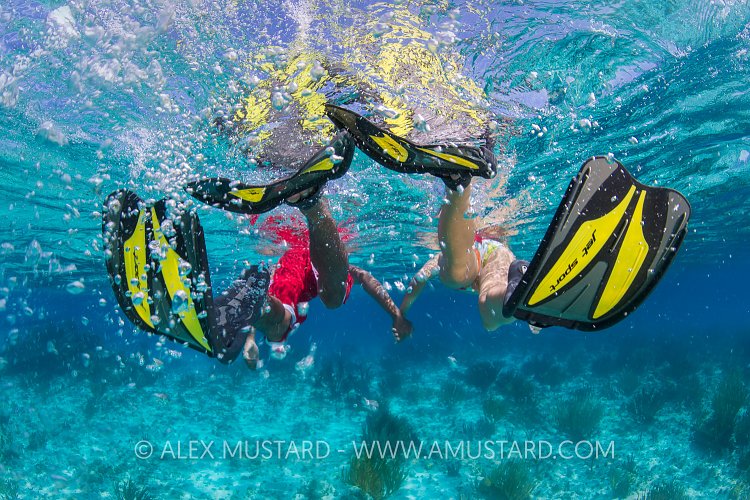 Speedy Snorkellers. Cayman Islands