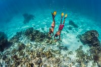 Diving Down To The Reef. Cayman Islands