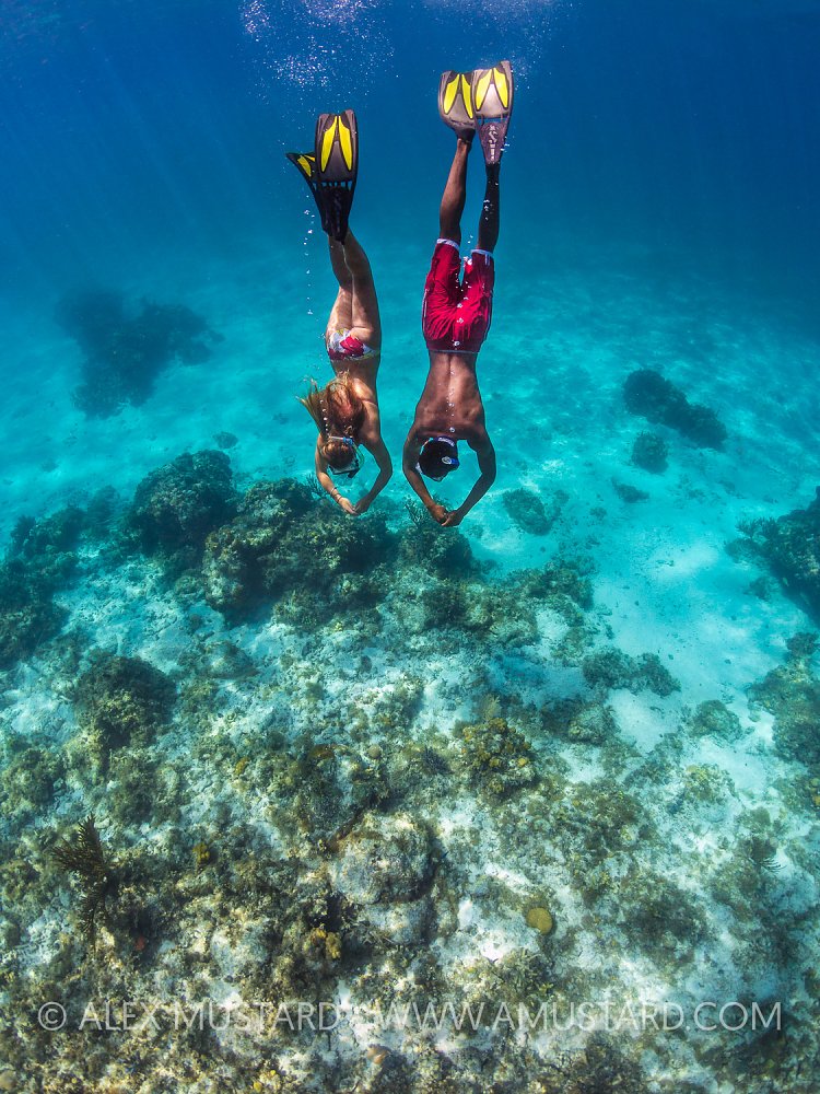 Snorkellers Diving. Cayman Islands