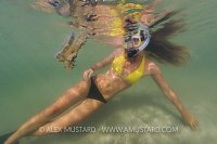 Snorkeller With Upsidedown Jelly. Cayman Islands