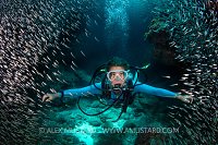 Diver In Silversides. Cayman Islands