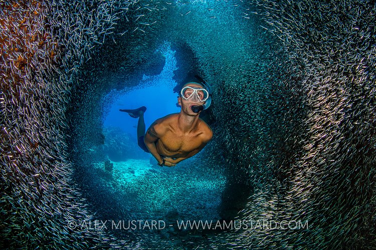 Snorkellers In Silversides. Cayman Islands.