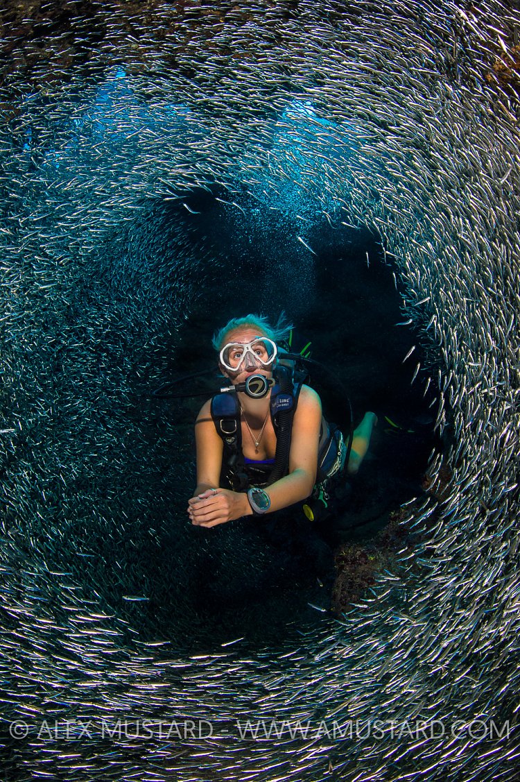 Diver In Silverside Cavern. Cayman Islands.