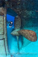 Kittiwake Prop. Cayman Islands.