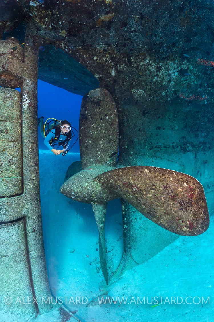 Kittiwake Prop. Cayman Islands.