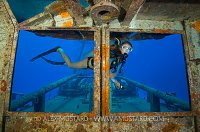 Kittiwake Windows. Cayman Islands.
