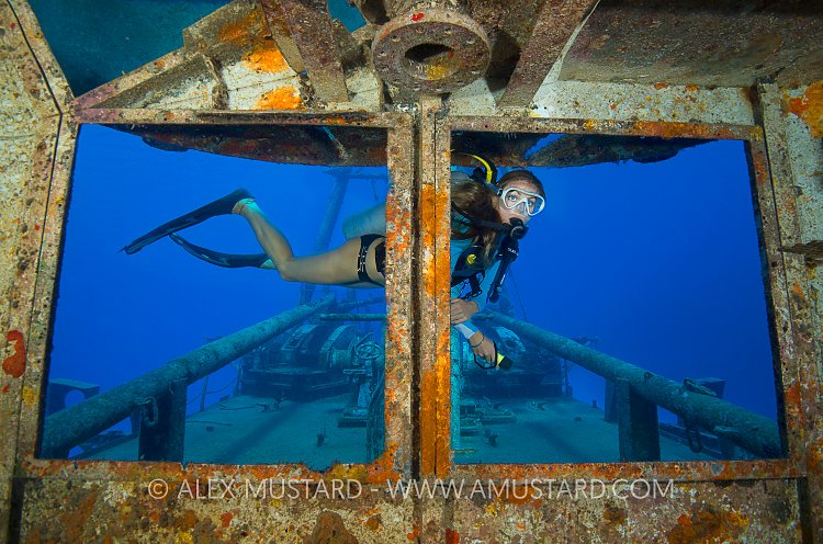Kittiwake Windows. Cayman Islands.