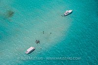 Stingray City Cayman Islands.
