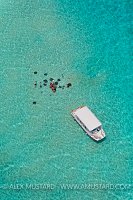 Stingray City. Cayman Islands
