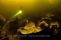 Diver in River Orchy. Scotland, UK.