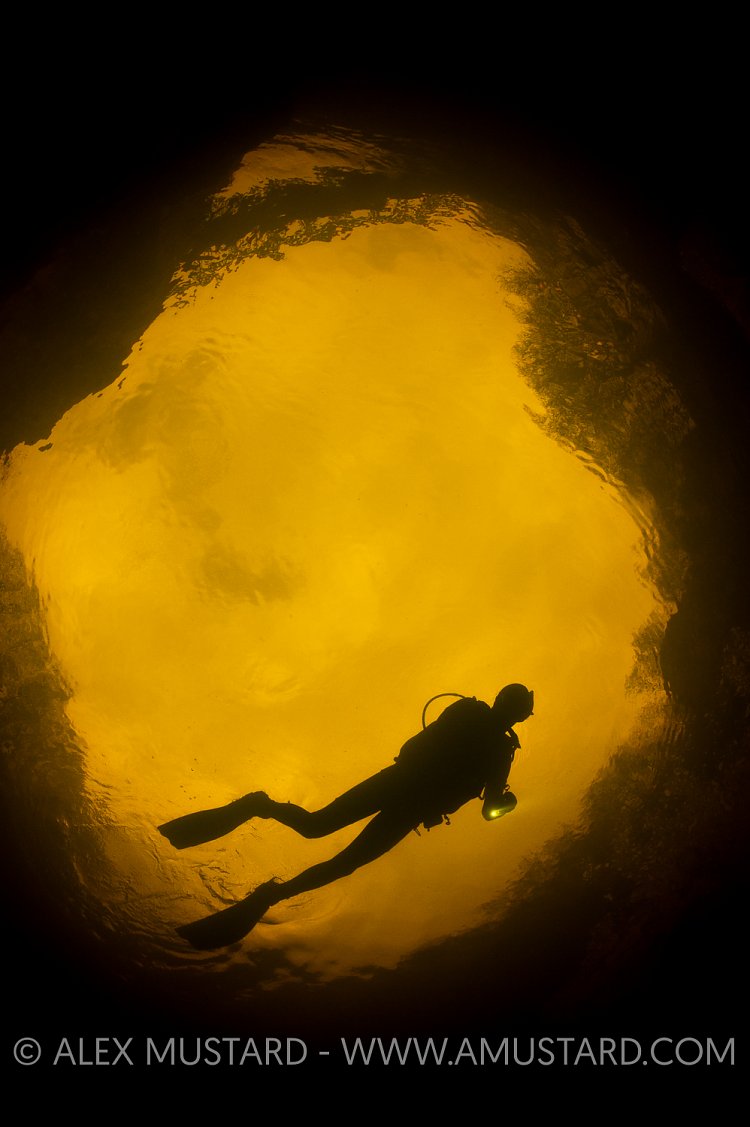 Diver in River Orchy. Scotland, UK.