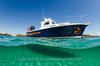 SULA CRION. Coll, Scotland.