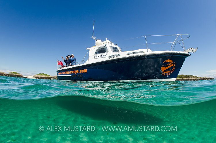 SULA CRION. Coll, Scotland.