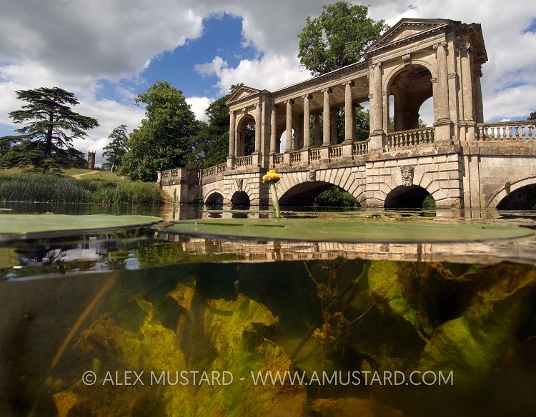 Palladian Bridge. UK