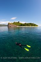 Reef Snorkeller. Indonesia