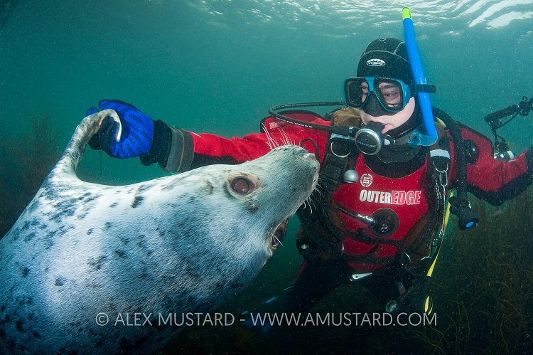 Take your partner by the flipper