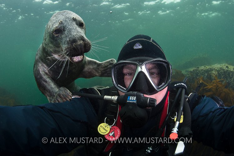Self Portrait With Seal. Farne Islands, UK