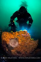Wreck Diver. UK