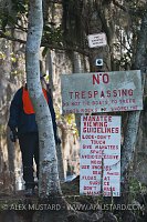 Warden patrols manatee interaction area. USA