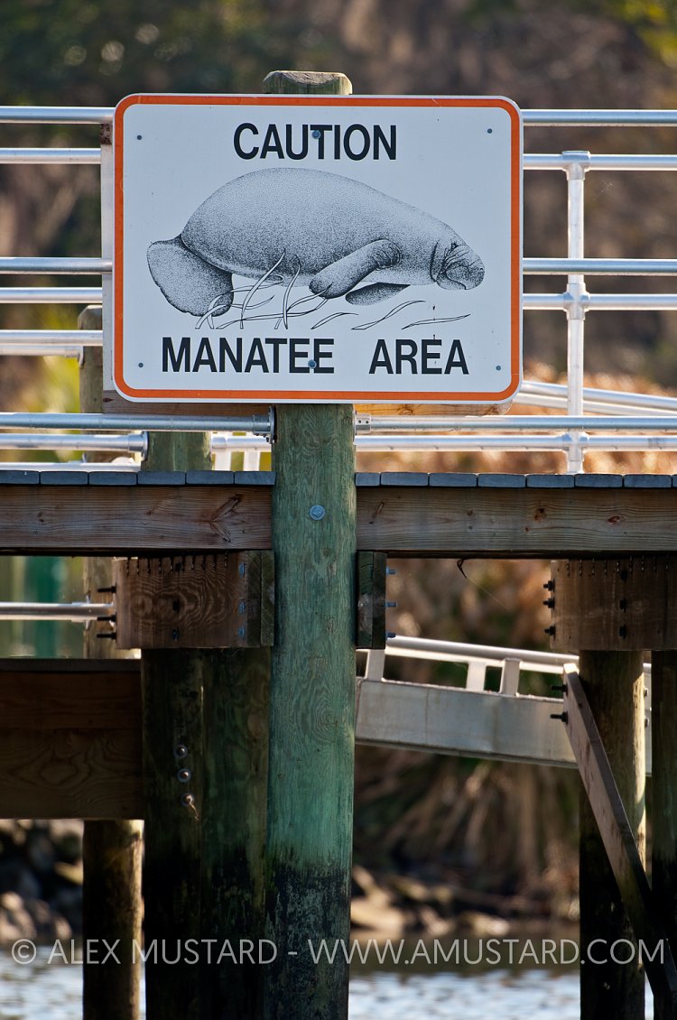 Manatee Area Sign, Florida, USA