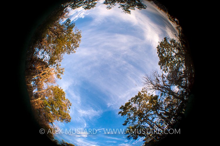 Circular Surface. USA