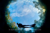 Exploring the underwater world. USA