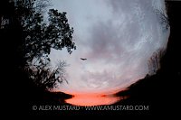 Dawn underwater. USA