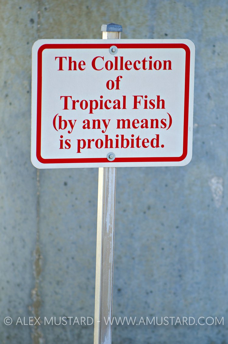No Collecting. Florida, USA.